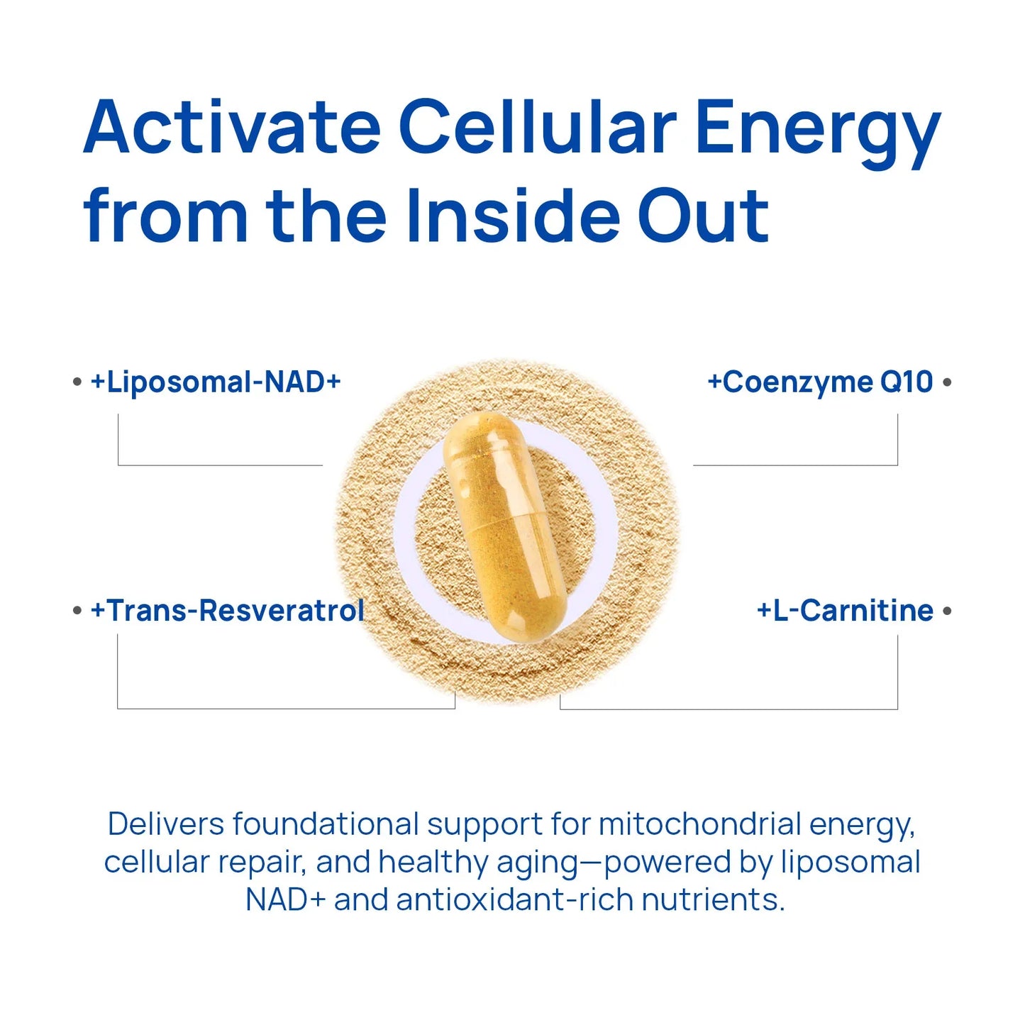 NAD+ Focus & Vitality Compound