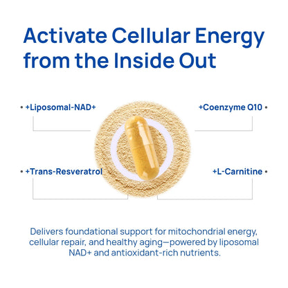 NAD+ Focus & Vitality Compound