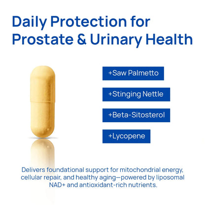 NAD+ Focus & Vitality Compound